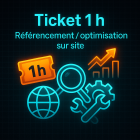 Ticket 1 h de referencement par mois