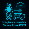 Infogèrance complète serveur Linux
